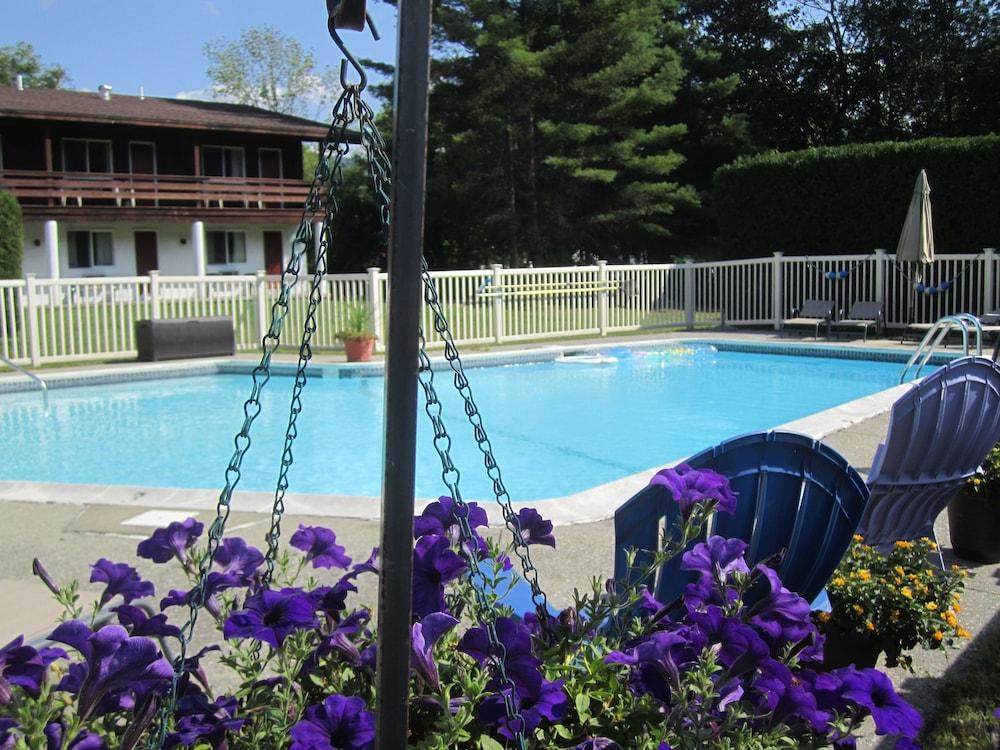 The Olympia Lodge photo 17