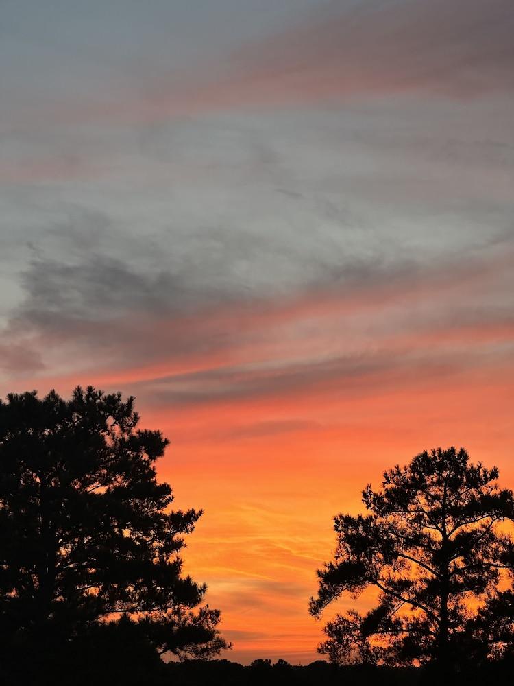La Quinta Inn by Wyndham Columbia NE/Fort Jackson photo 47
