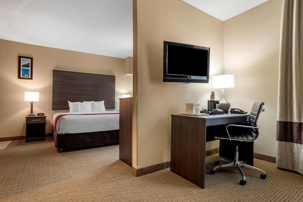 Comfort Suites Mobile photo 10