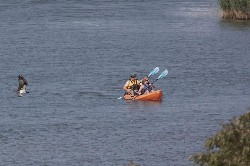 Knapps Narrows Marina & Inn photo 44
