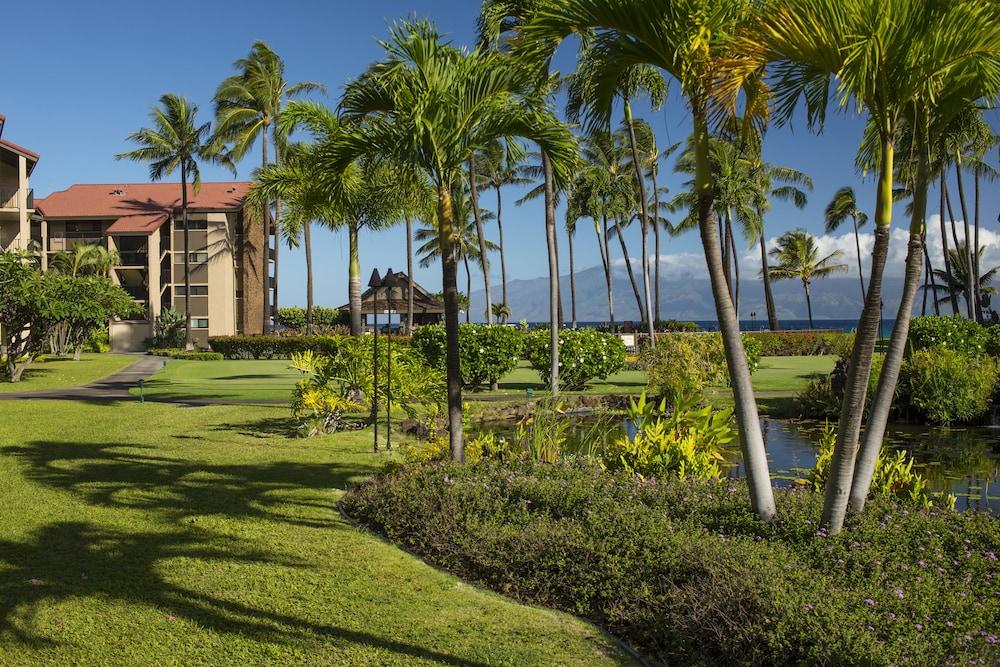 AEI at Papakea Resort Maui photo 22