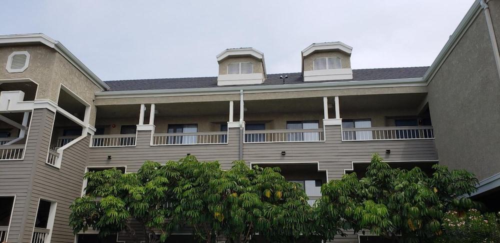 Oak Tree Inn photo 10