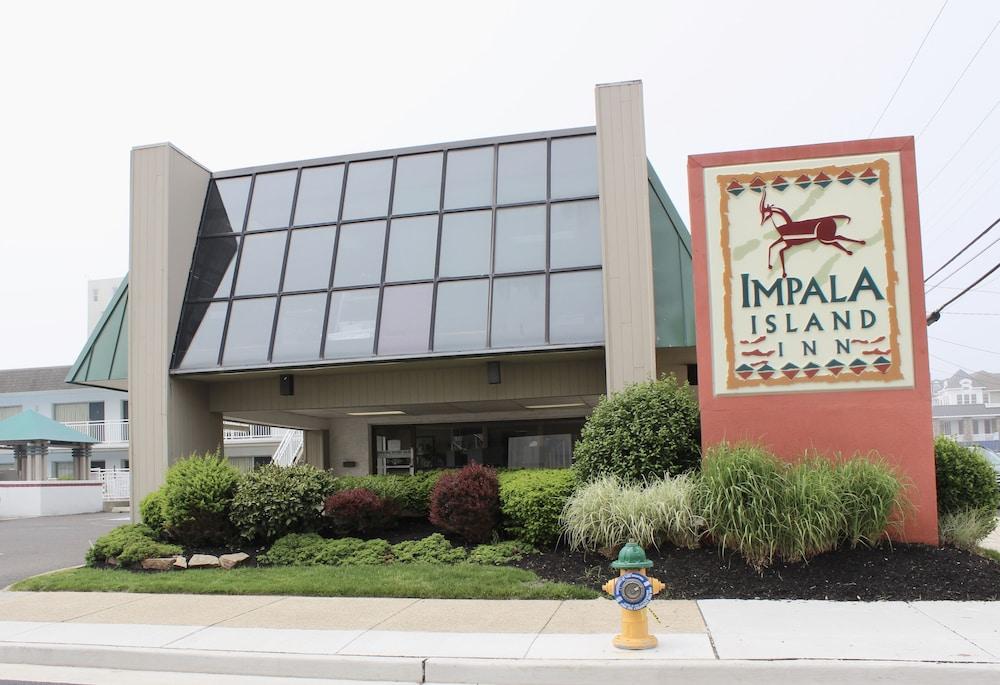 Impala Island Inn — hotel in Ocean City