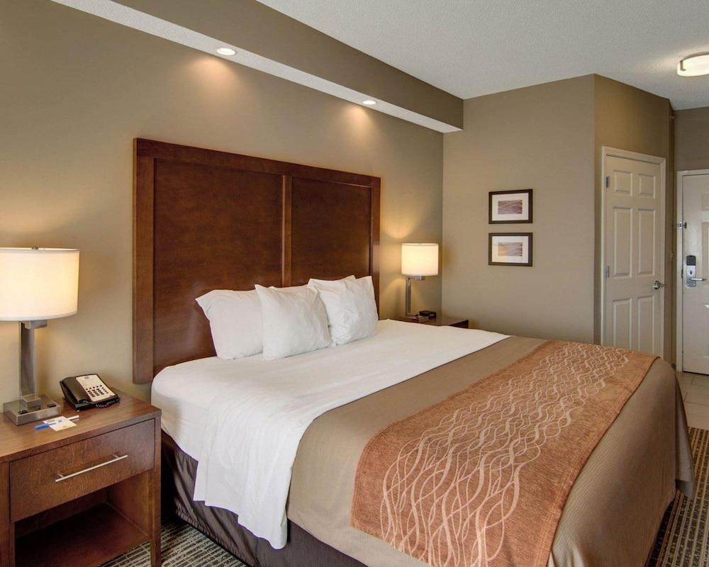 Comfort Suites Leesville near Fort Johnson photo 22