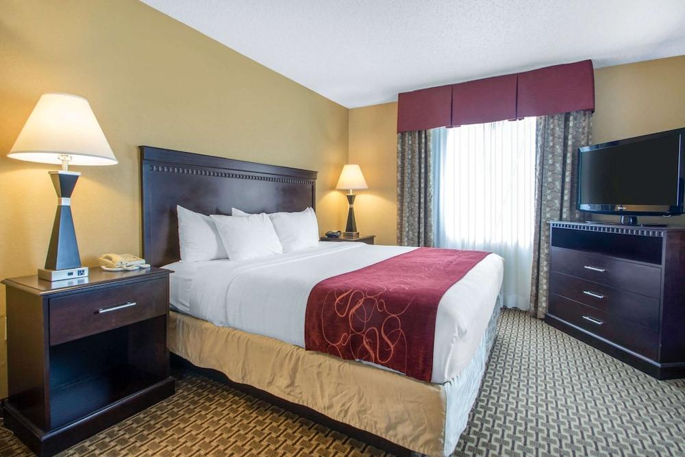 Comfort Suites Wisconsin Dells Area photo 22