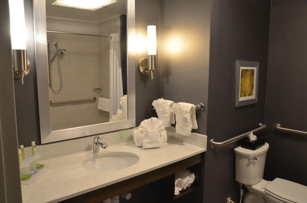 Holiday Inn Express Hotel & Suites Albany by IHG photo 12