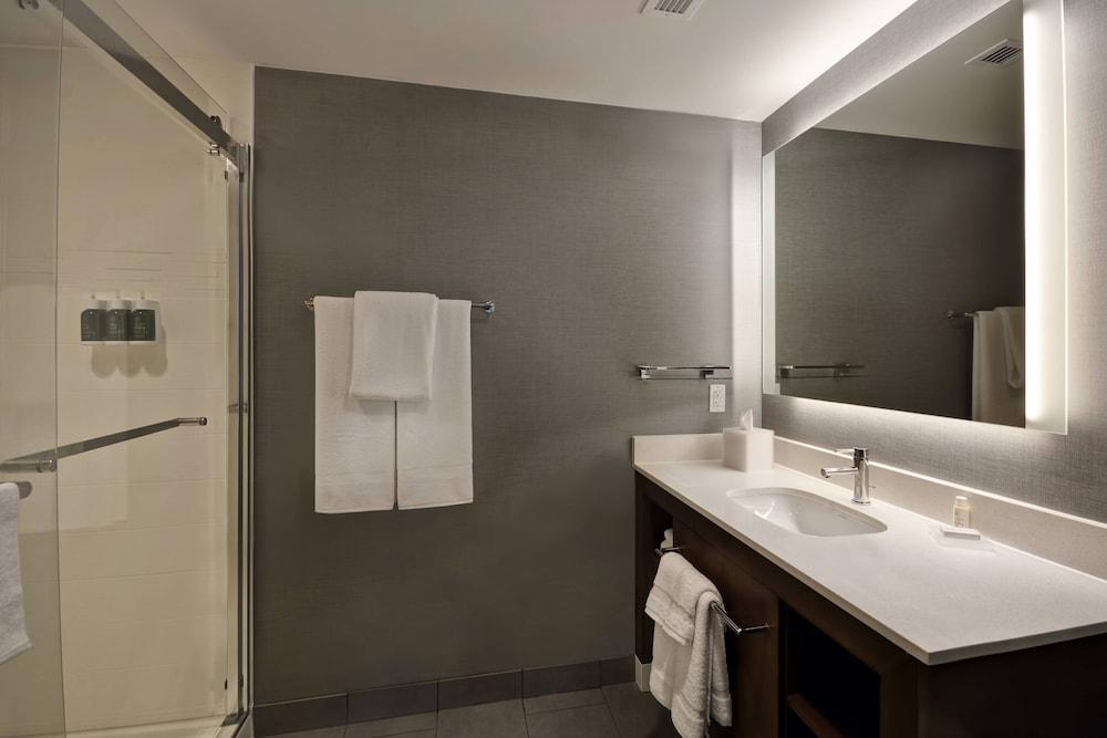 Residence Inn by Marriott New Orleans French Quarter Area/Central Business District photo 60
