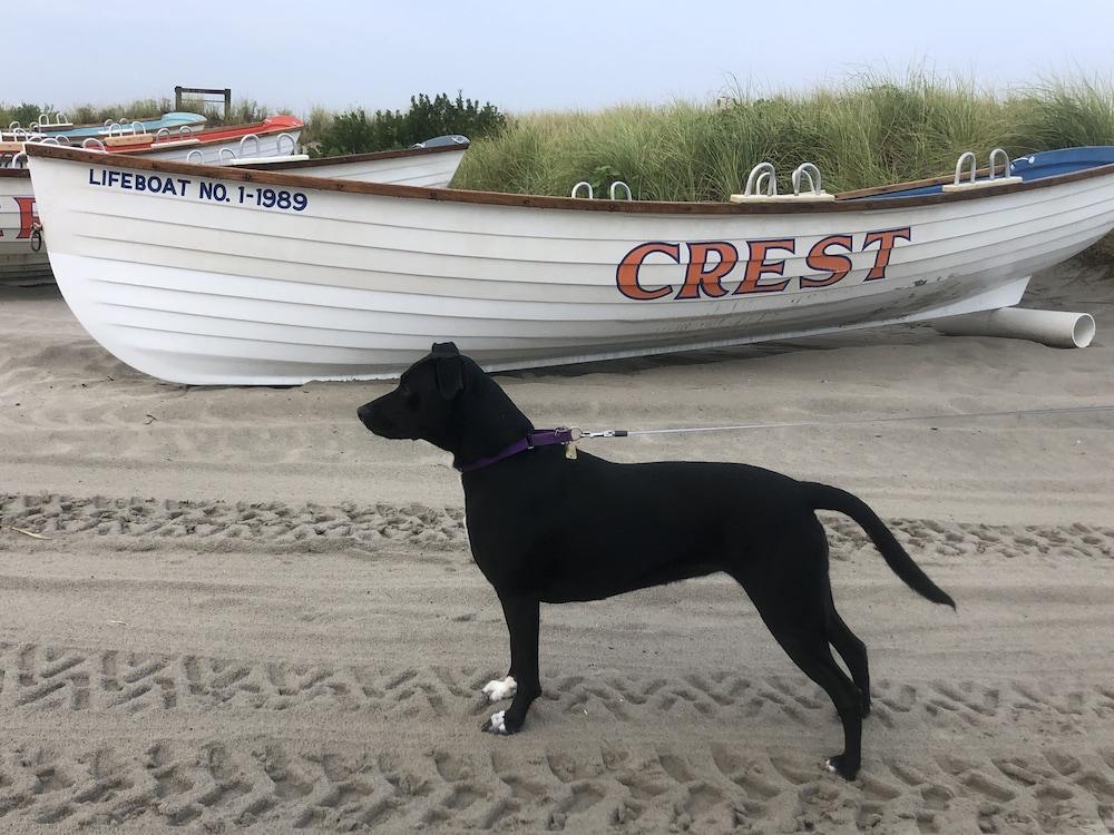 Sea Chest Motel photo 5