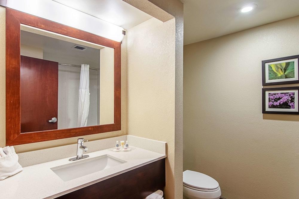 Comfort Suites Knoxville Airport photo 27