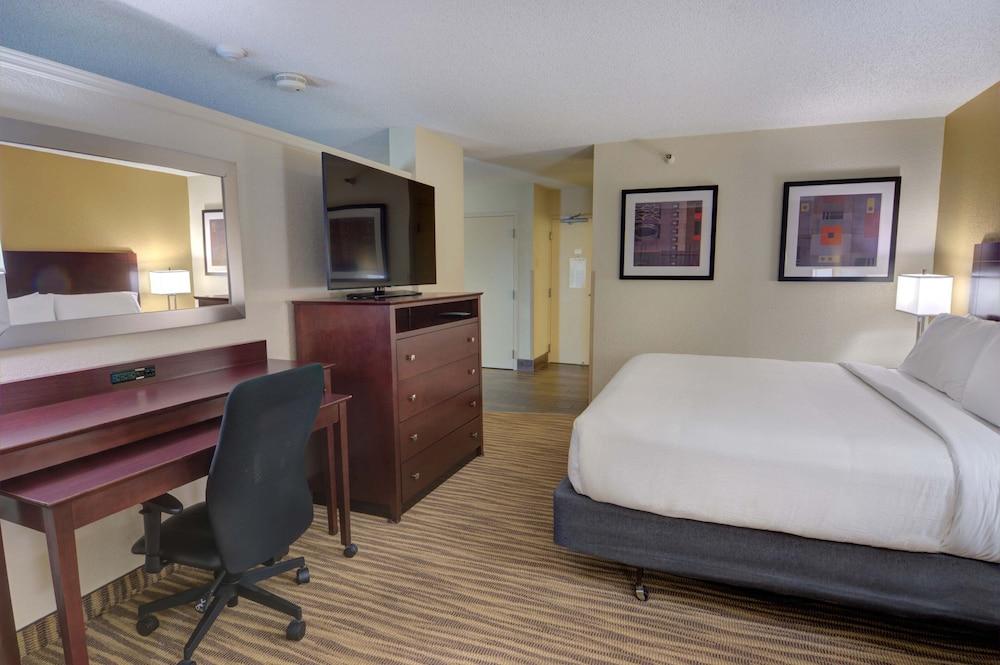 Holiday Inn St Petersburg N - Clearwater by IHG photo 19