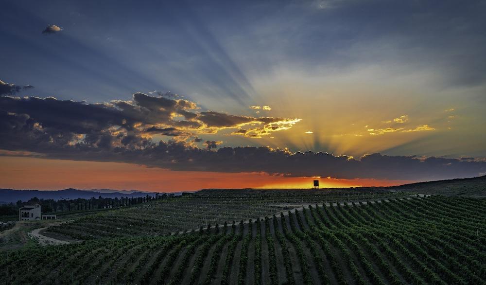 Europa Village Wineries and Resort photo 19
