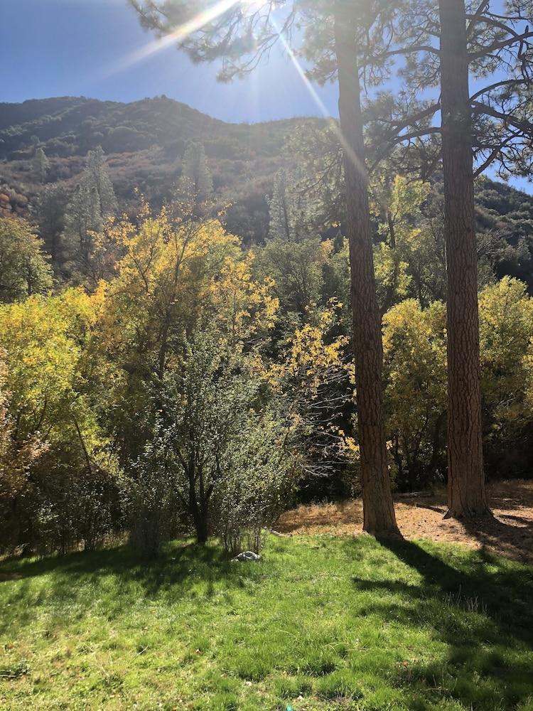 Quiet Mind Lodge Retreat & Spa  Sequoias photo 72