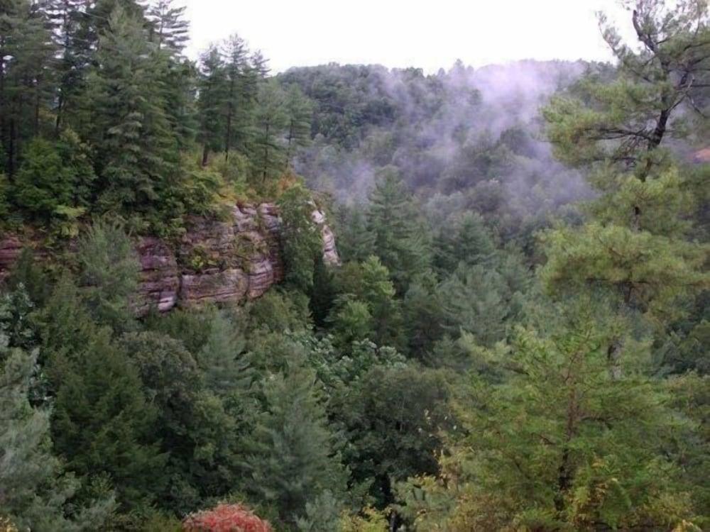 Cliffview Resort photo 31