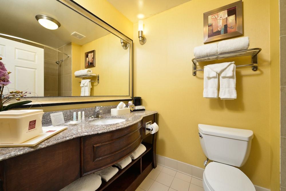Comfort Suites Bay City East photo 12