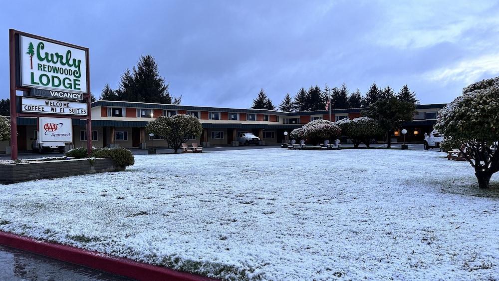 Curly Redwood Lodge photo 43
