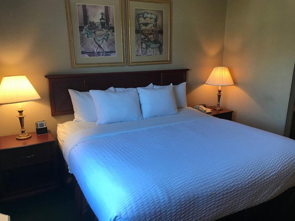 The Marx Hotel photo 4