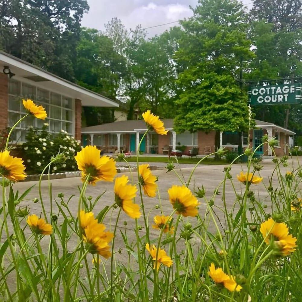 Dame Fortune's Cottage Court photo 8