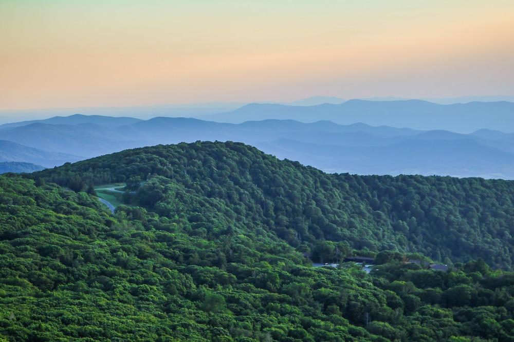 Skyland photo 38