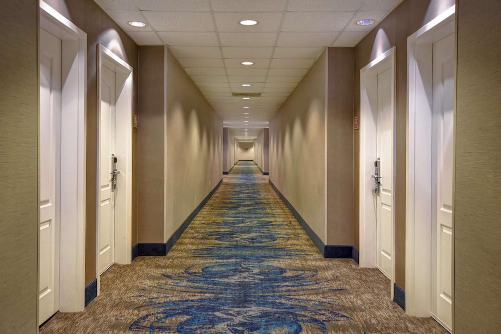 Homewood Suites By Hilton Houston IAH Airport Beltway 8 photo 34