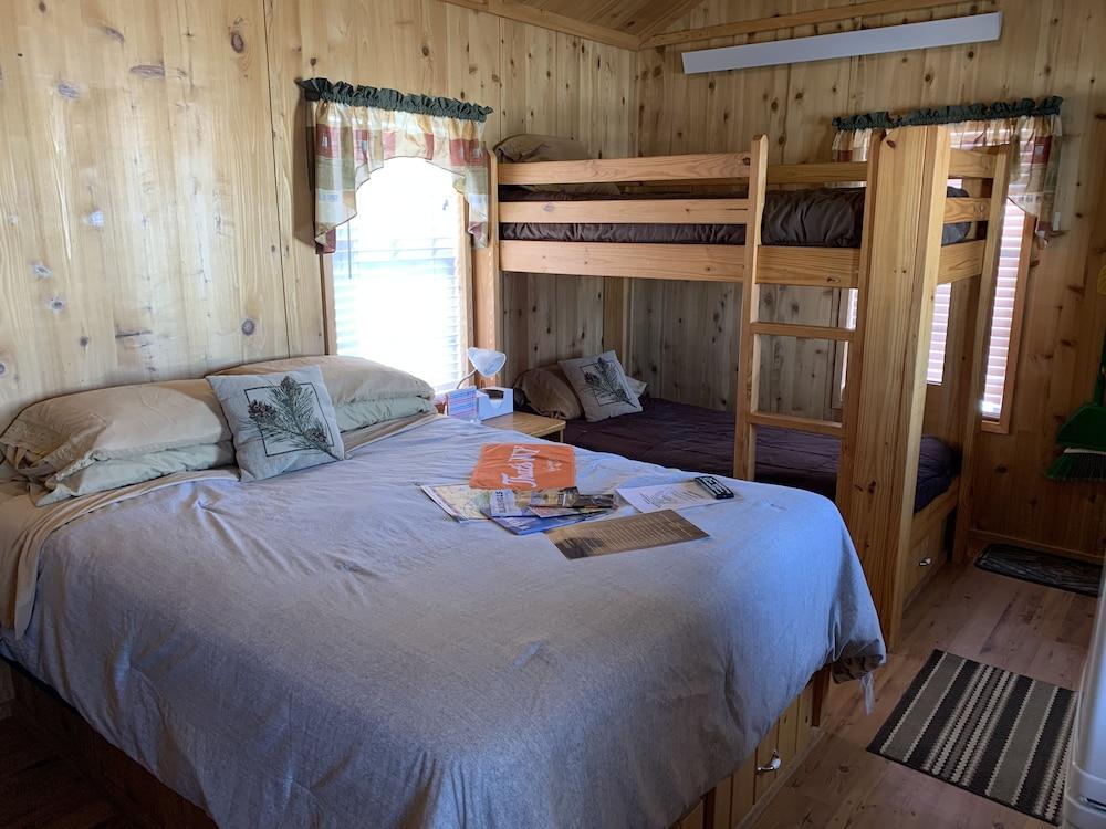 Bearlodge Mountain Resort photo 5