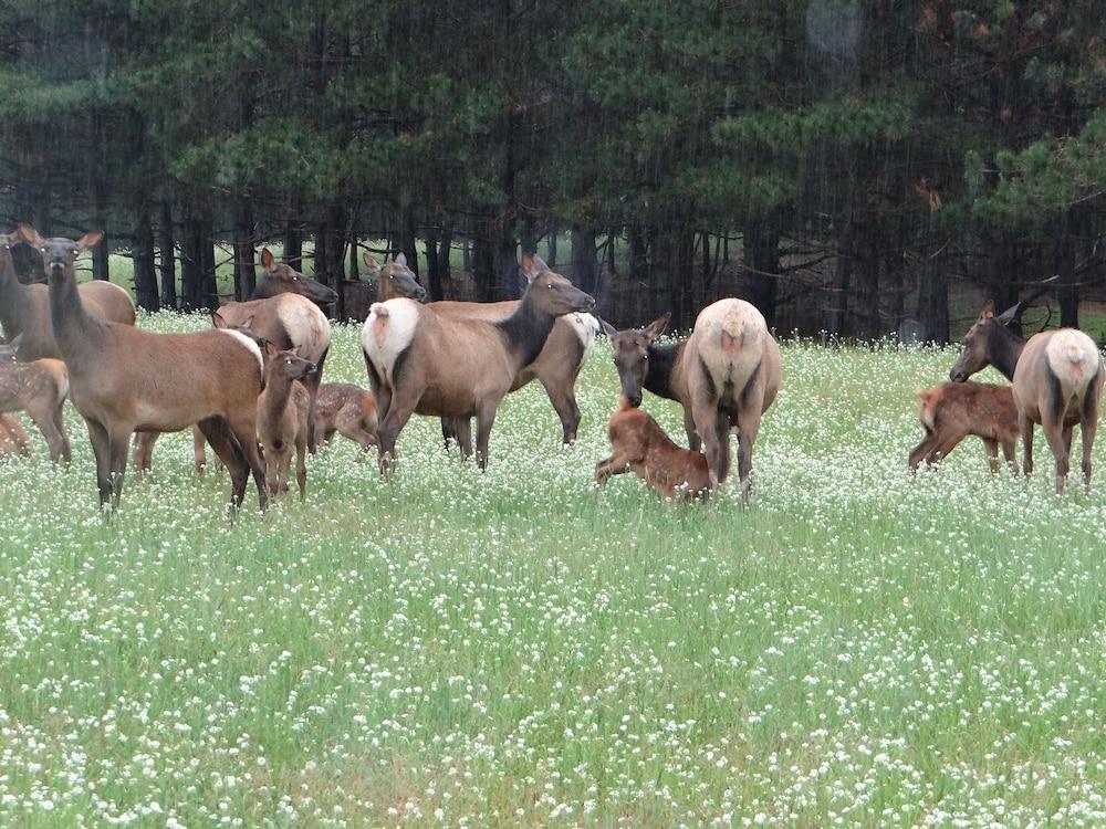 Edenwood Ranch Private SQ MILE photo 25