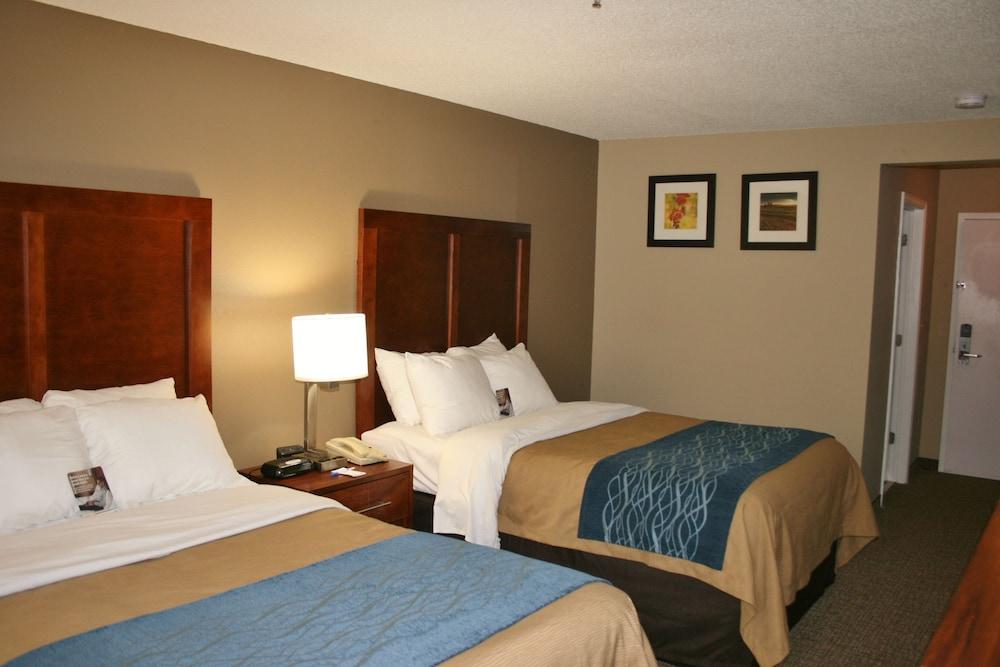 Bristol Arcadia Inn photo 10