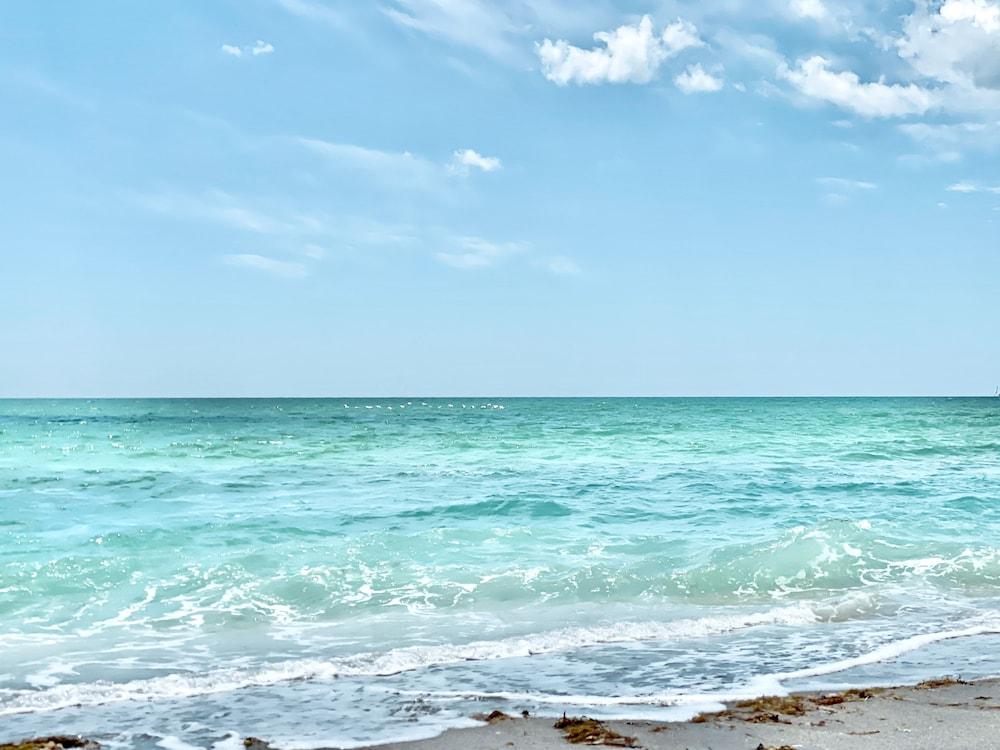 Manasota Key Resort photo 97