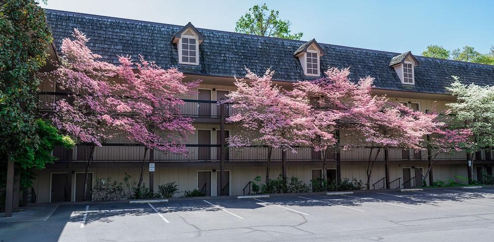Riverside Inn photo 71