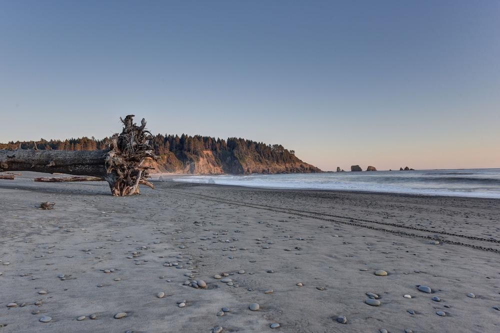 Quileute Oceanside Resort photo 9