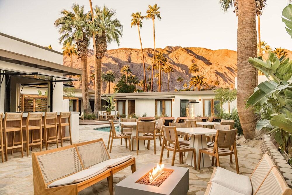 Terra Palm Springs photo 23