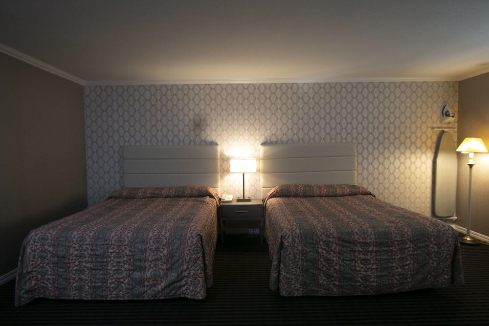 Alpha Inn & Suites photo 26