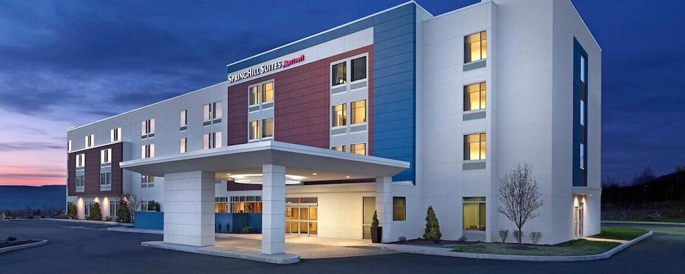 SpringHill Suites by Marriott Holland photo 22