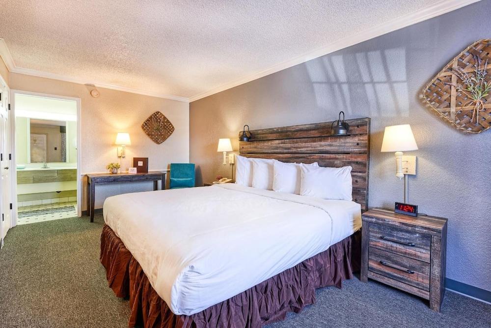 San Mateo Inn photo 17