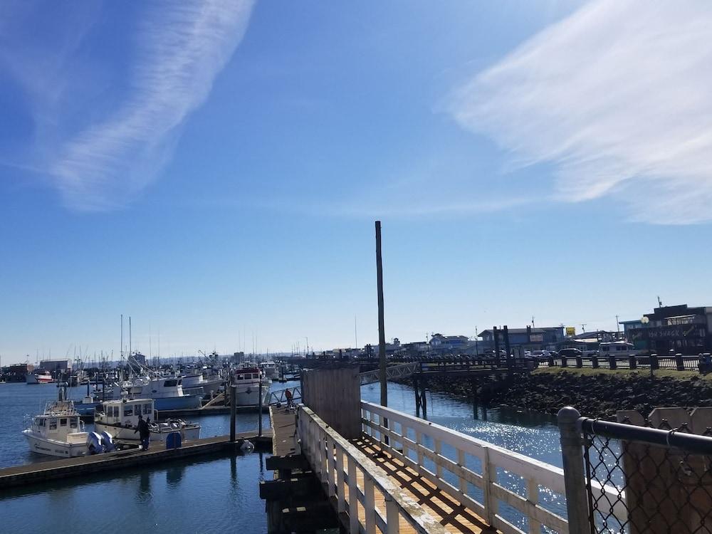 Islander Westport photo 68