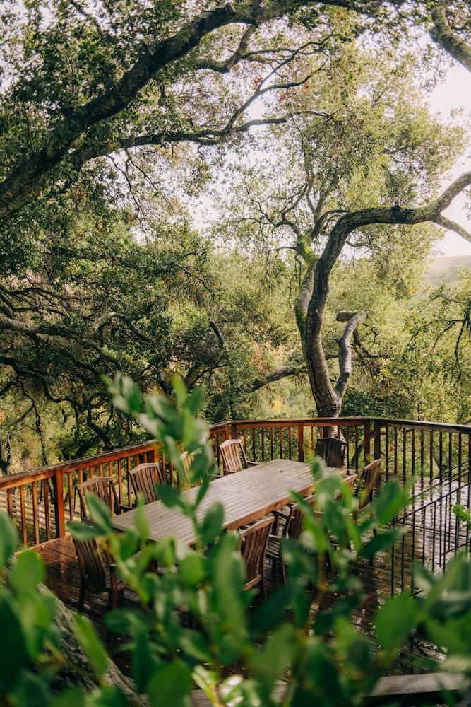 Holman Ranch Estate Vineyard & Winery photo 15