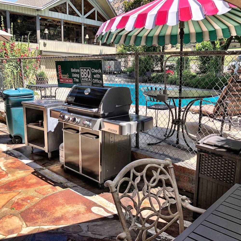 Piazza's Pine Cone Inn photo 8