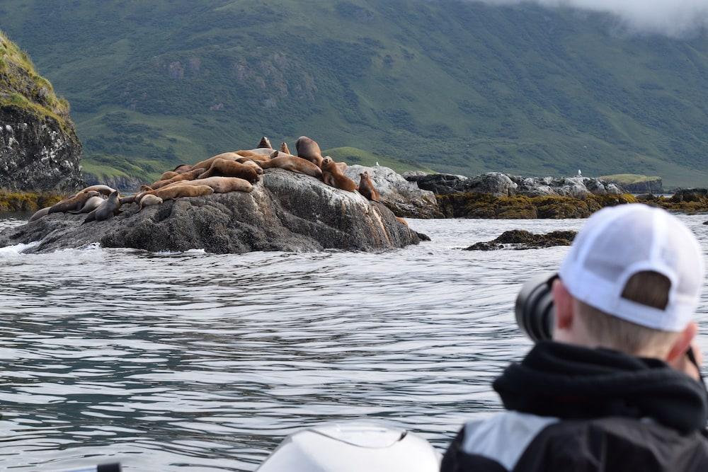 Zachar Bay Lodge Inc photo 33