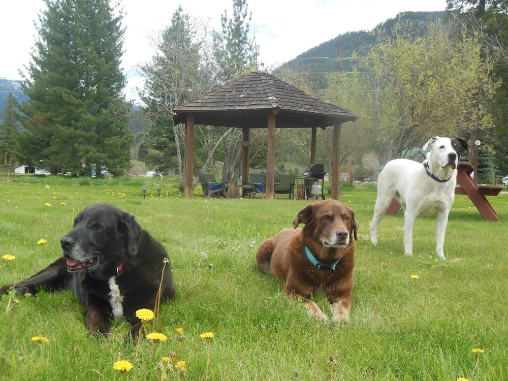 Clark Fork Lodge photo 20