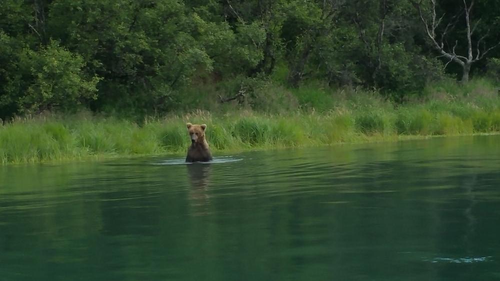 Alaska's Gold Creek Lodge photo 31