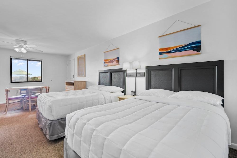 The Beach House photo 34