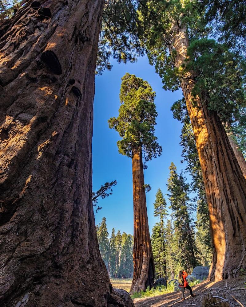 John Muir Lodge photo 63