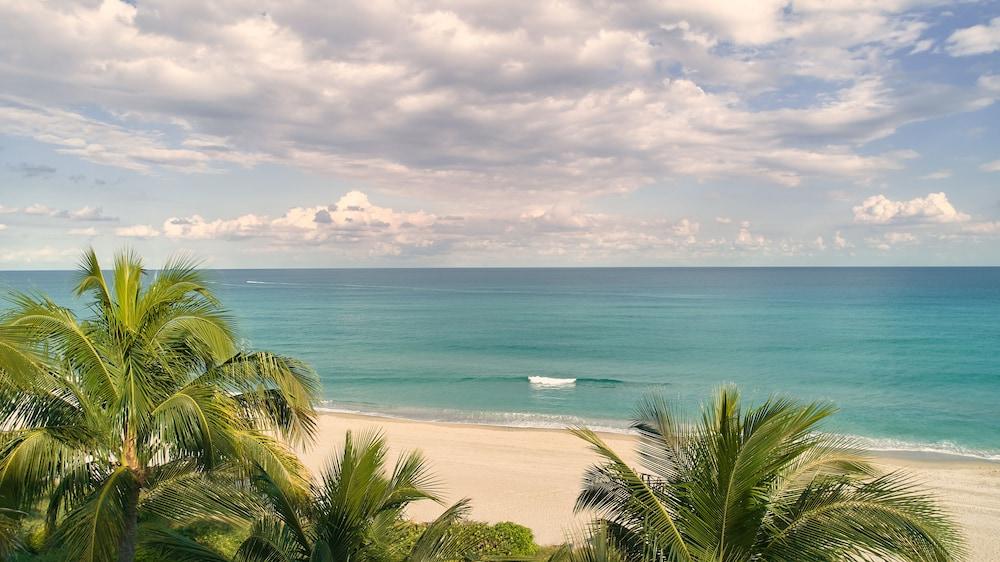 Bungalows at The Boca Raton photo 66