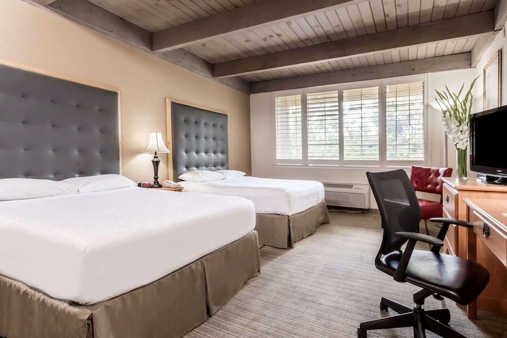 Prodigy Hotel, a Days Inn by Wyndham photo 18