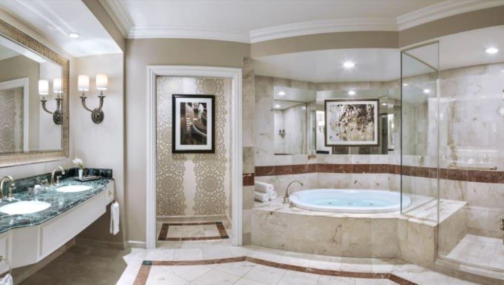 The Venetian Resort Las Vegas photo 29