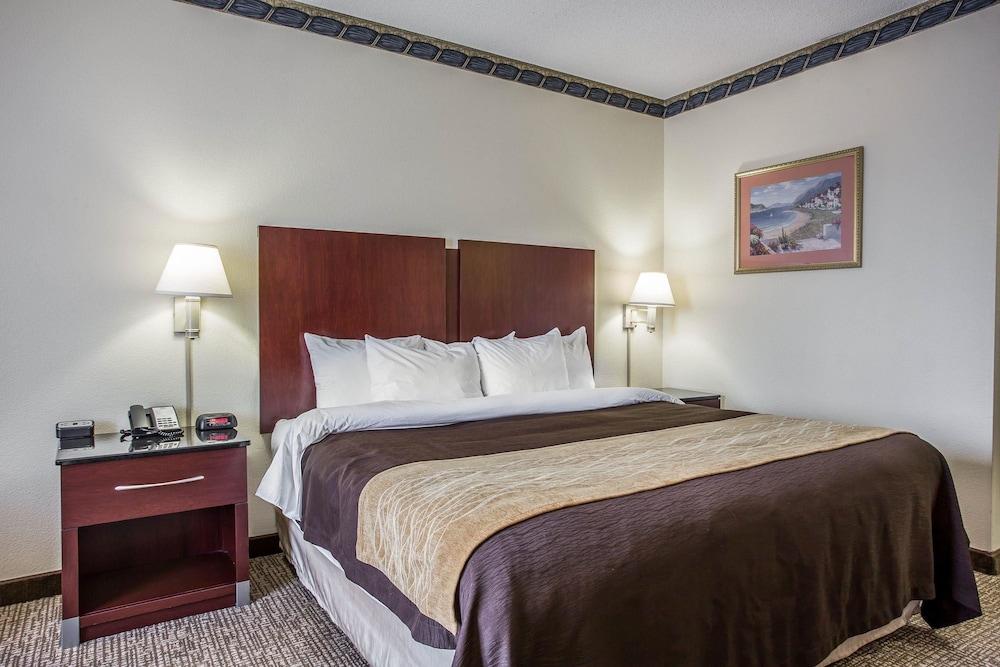 Comfort Inn & Suites Ft. Jackson Maingate photo 11