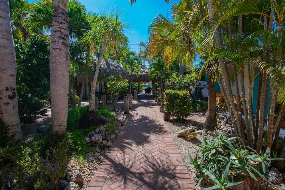Bonita Beach Inn and Suites photo 14