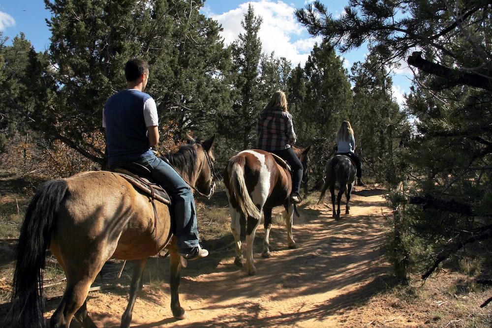 Zion Ponderosa Ranch Resort photo 5