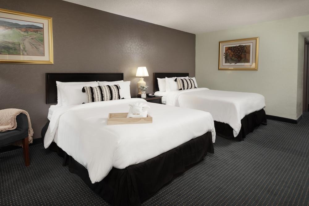 The Cactus Cove Inn and Suites photo 22