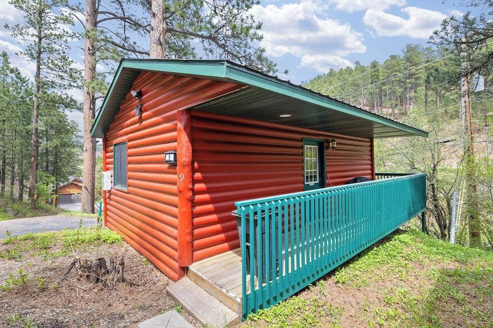 Ponderosa Pines photo 68