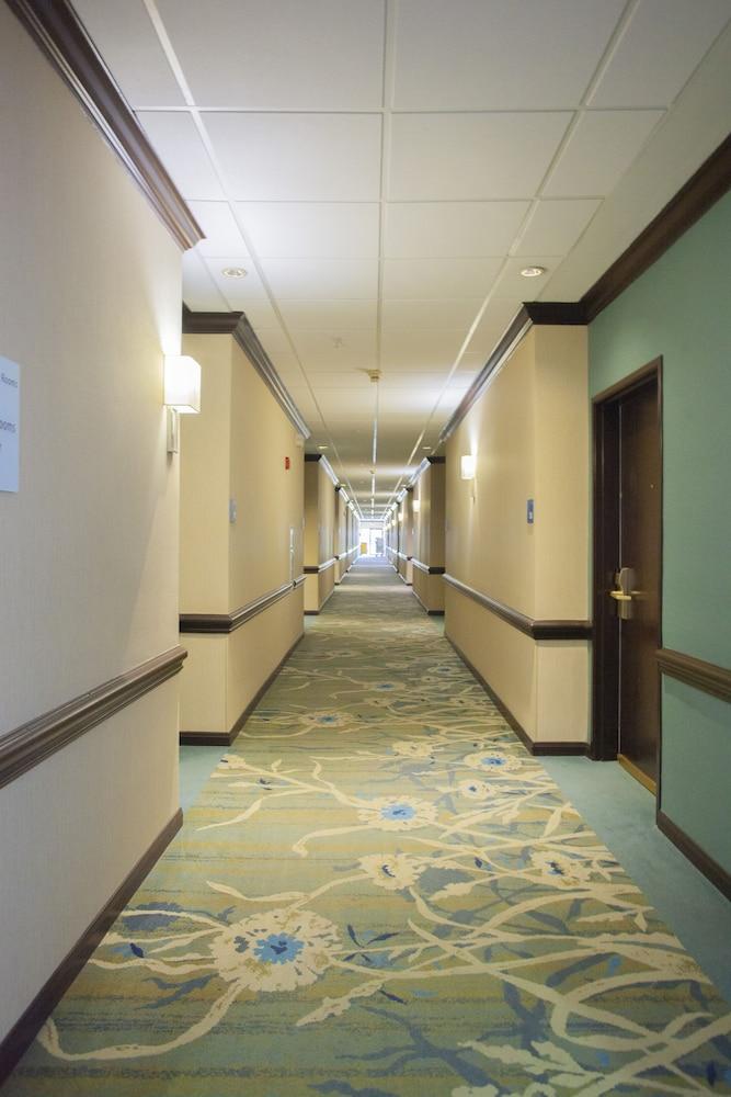 Holiday Inn & Suites Spring- The Woodlands Area by IHG photo 40
